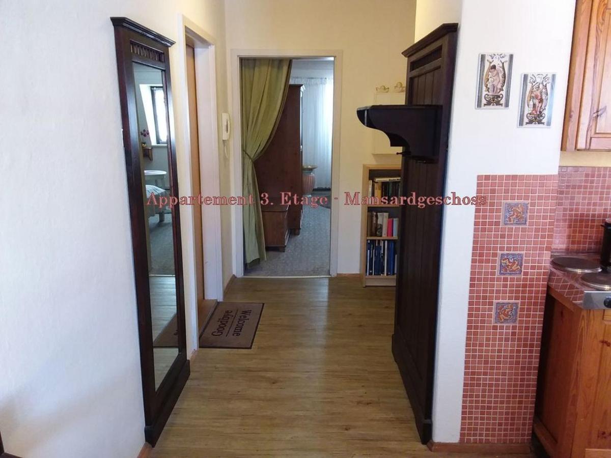 City-Ferienwohnungen-Dresden - Zentral Gelegen Im Haus Louisenstrasse 11 - Dresden-Neustadt Ngoại thất bức ảnh