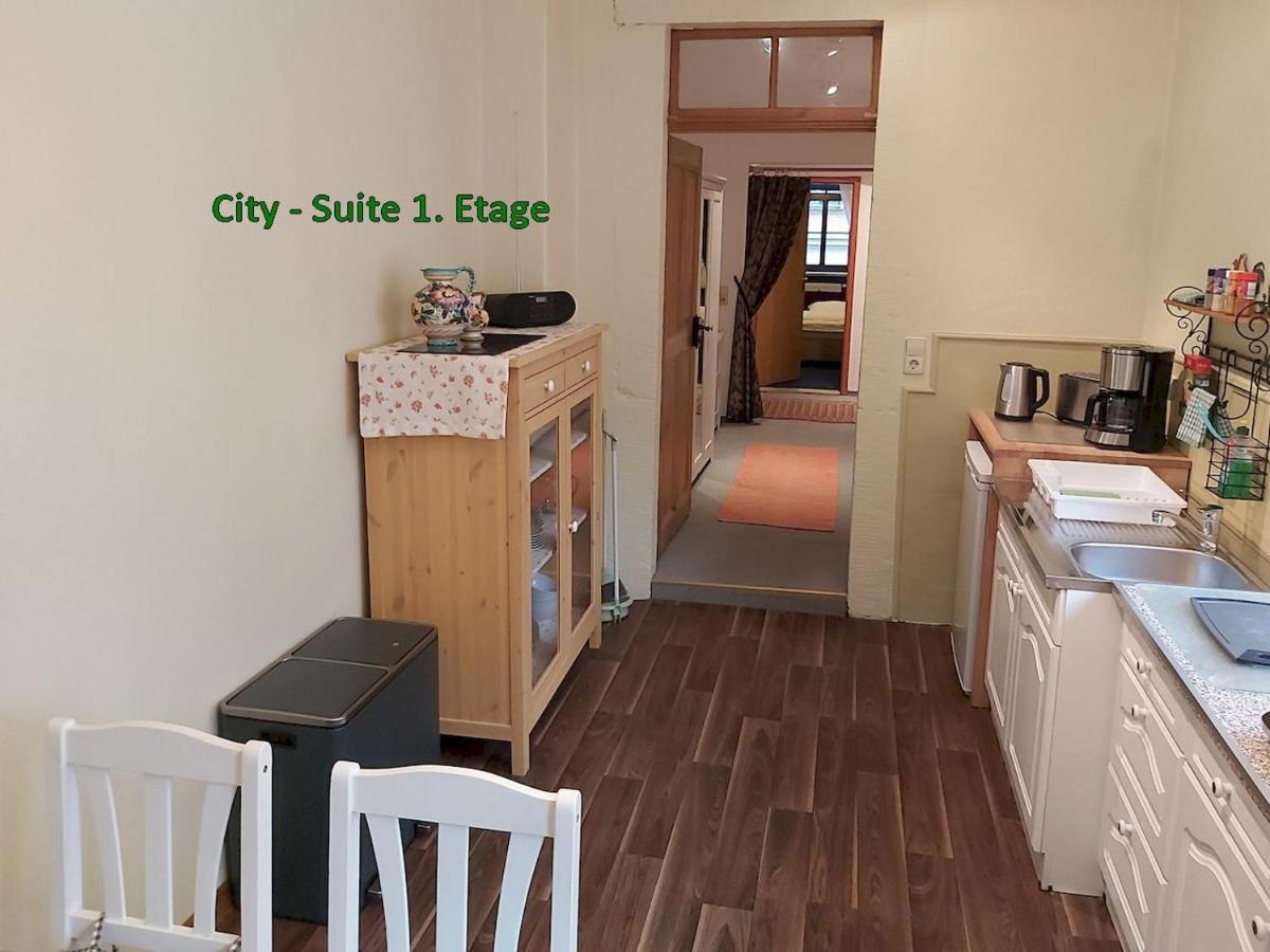 City-Ferienwohnungen-Dresden - Zentral Gelegen Im Haus Louisenstrasse 11 - Dresden-Neustadt Ngoại thất bức ảnh