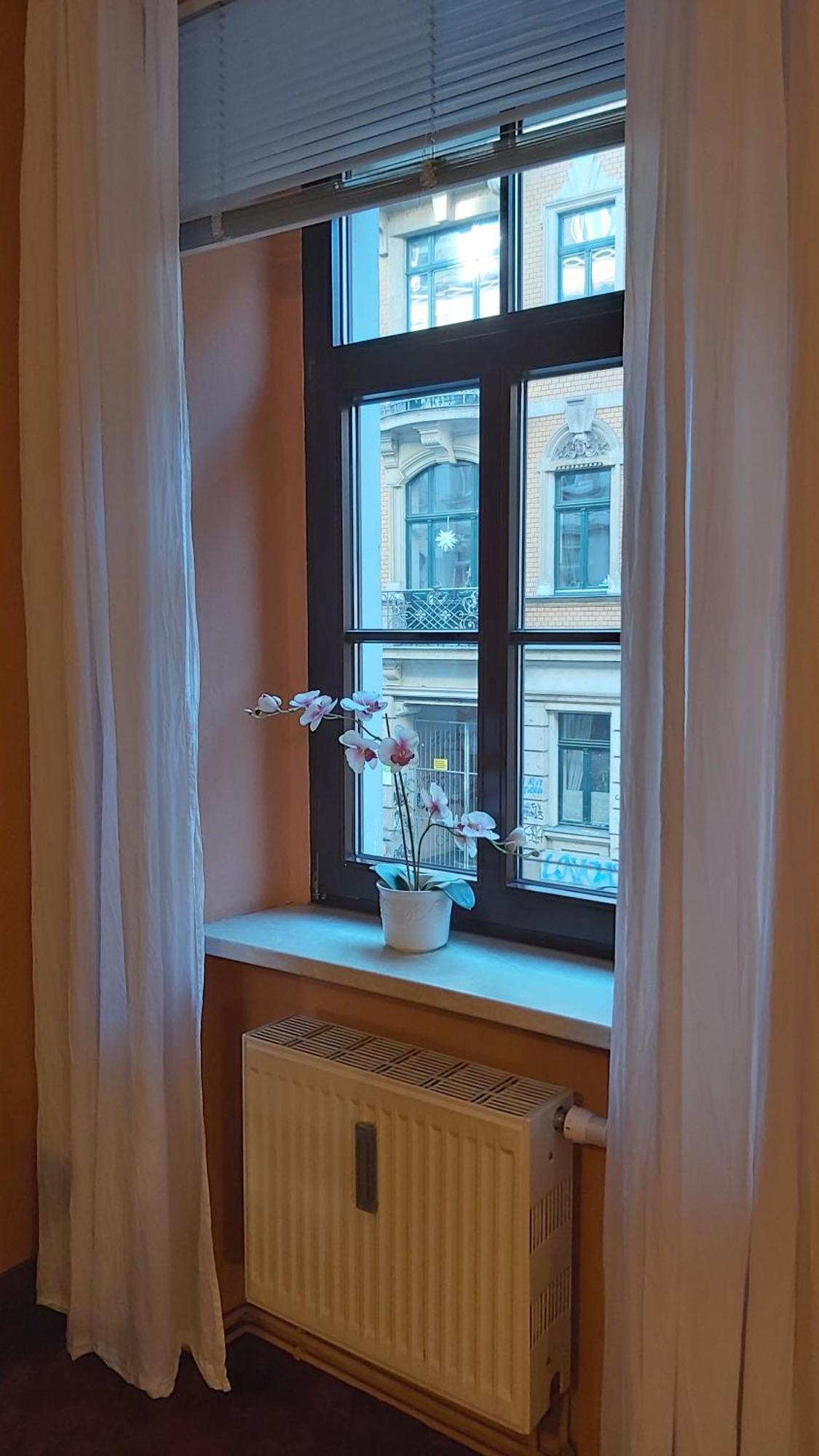 City-Ferienwohnungen-Dresden - Zentral Gelegen Im Haus Louisenstrasse 11 - Dresden-Neustadt Ngoại thất bức ảnh